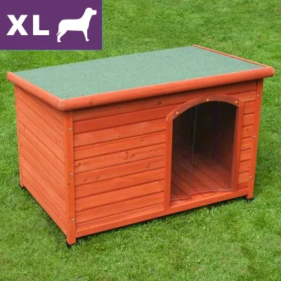 Cuccia in legno per cani, tetto piatto verde, misura XL indicata da riquadro viola con scritta 'XL' e sagoma di cane bianca in alto a sinistra.