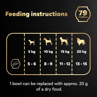 Cesar Fresh Bowls in Gravy 10 x 85g