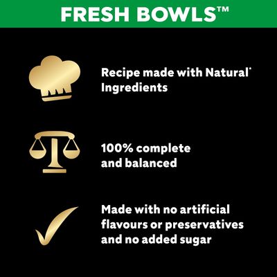 Cesar Fresh Bowls in Gravy Mixed Selection - 24 x 85g