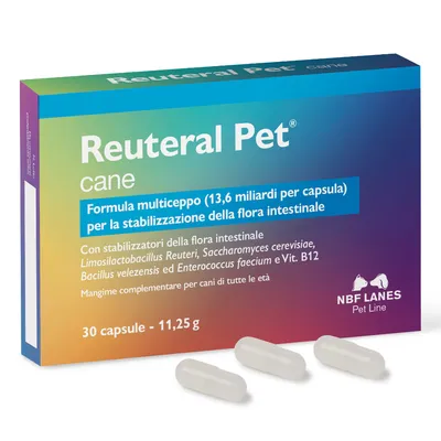 Reuteral Pet Cane - 30 pz Reuteral Pet Cane - 30 pz