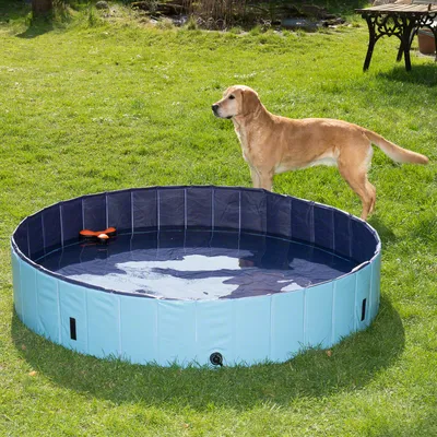 Piscina para cães Keep Cool - Extragrande: diâmetro 160 cm x A 30 cm, com cobertura