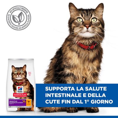 Hill's Science Plan Sensitive Stomach & Skin Adult 1+ con pollo, crocchette per gatti. Testo visibile: supports digestive health with prebiotic fibre. Promotes beautiful fur.