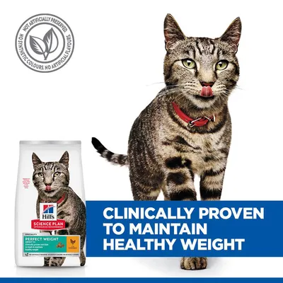 Hill's Science Plan Perfect Weight Adult 1+ Chicken - cat dry food - 7kg