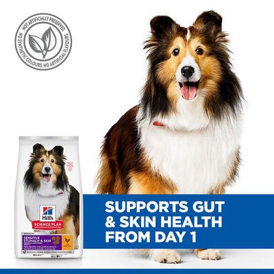 Hill's Science Plan Sensitive Stomach & Skin Adult 1 + Medium with Chicken