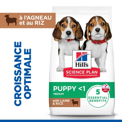Hill's Science Plan Puppy <1 Medium Agneau, riz - 18 kg