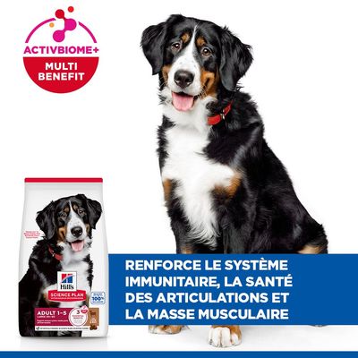 Hill's Science Plan Adult 1-5 Large Agneau, riz - 14 kg