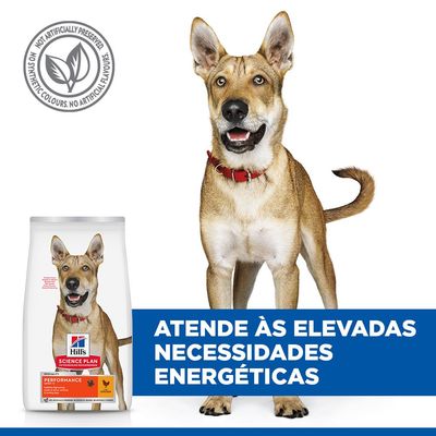 Hill's Science Plan Performance Adult 1+ com frango. Alimento energético para cães ativos, de trabalho e de caça. Sem conservantes, corantes ou aromas artificiais.
