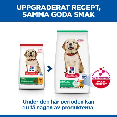 Hill's Science Plan Puppy <1 Large Chicken - 6 kg