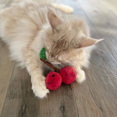 Pluche speelgoed in de vorm van een kers met lachende gezichten, vastgehouden door een kat op een houten vloer.