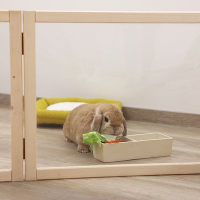 Kaninchen frisst aus einer beigefarbenen Futterschale mit Salat und Gemüse, im Hintergrund ein gelbes Haustierbett. Umgeben von einem Holzgehege.