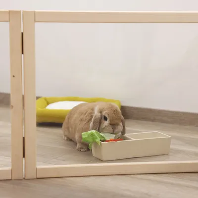 Lapin beige mangeant des légumes dans une gamelle en céramique rectangulaire, parc en bois et coussin jaune visibles en arrière-plan.