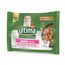Ultima Cat Expert Nutrition Junior Pollo & Salmone 4 x 70 g