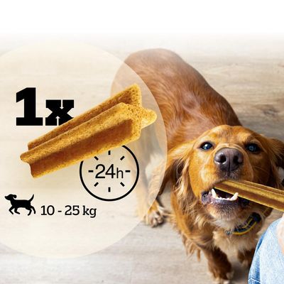 Cane con osso da masticare in bocca. Testo: 1x al giorno, 24h, per cani da 10-25 kg.