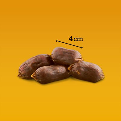 Čtyři malé salámky, délka vyznačena jako 4 cm