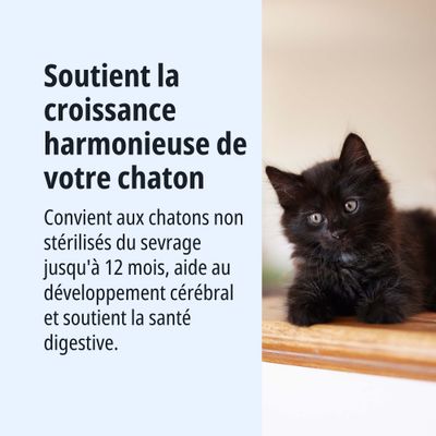 Favorise une croissance harmonieuse des chatons non stérilisés jusqu'à 12 mois, soutient le développement cérébral et la santé digestive.