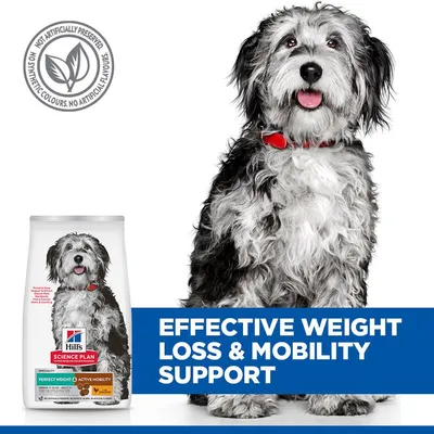 Hill's Science Plan Perfect Weight & Active Mobility Adult 1+ Medium csirke - 2 x 12 kg