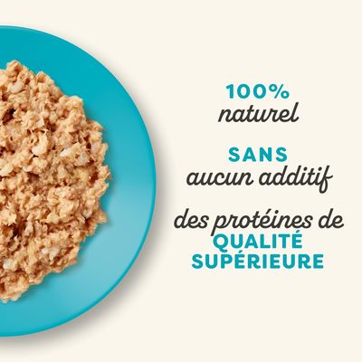 Applaws Natural Kitten au bouillon 12 x 50 g