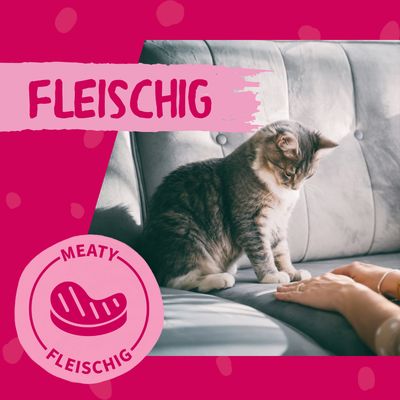 Fleischig. Symbol eines Fleischstücks mit Text 'Meaty Fleischig'. Katze sitzt auf einem Sofa und schaut auf eine Hand.