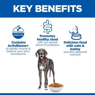 Hill's Science Plan Perfect Digestion Adult Large με Κοτόπουλο & Καστανό Ρύζι - 14 kg