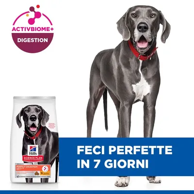 Hill's Science Plan Perfect Digestion Adult Large con Pollo e Riso - 14 kg