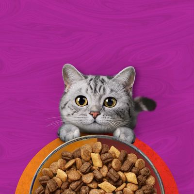 Whiskas 1+ Duo Classic Combos bárány & pulyka