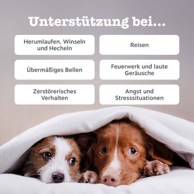 Zesty Paws Calming Chews Truthahn