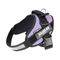 Julius-K9 IDC® Powerharness postroj, fialový velikost  M/0: obvod hrudníku 58 - 76 cm