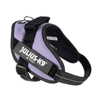 Julius-K9 IDC Power Hundegeschirr in Lila mit schwarzem Gurt und reflektierenden Nähten, Größe S-Mini sichtbar auf Etikett. Julius-K9 IDC Power Hundegeschirr in Lila mit schwarzem Gurt und reflektierenden Nähten, Größe S-Mini sichtbar auf Etikett.