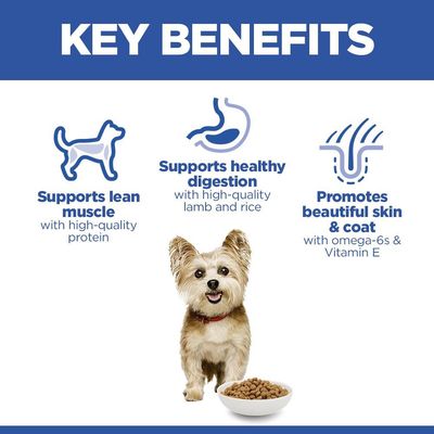 Hill's Science Plan Adult 1-6 Small & Mini с ягнятиной и рисом