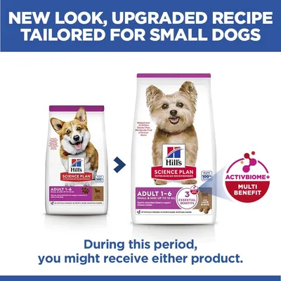 Hill's Science Plan Adult 1-6 Small & Mini bárány & rizs - 6 kg