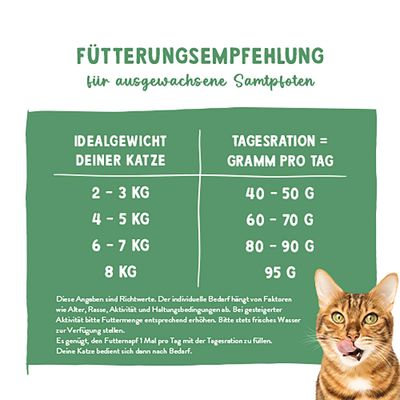 Fütterungsempfehlung für ausgewachsene Katzen: 2-3 kg = 40-50 g, 4-5 kg = 60-70 g, 6-7 kg = 80-90 g, 8 kg = 95 g Futter pro Tag. Hinweise zur Anpassung und Wasser bereitstellen.