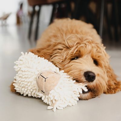 beeztees ECO hundleksak fåret Jovi