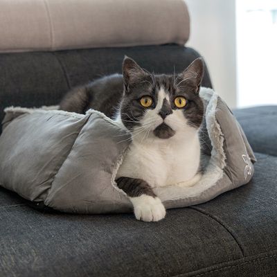 beeztees kattenbed Baboo