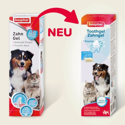 Beaphar Zahn Gel mit 2-fach Enzym-System, bekämpft Plaque und sorgt für frischen Atem. Neu: Beaphar Toothgel Zahngel mit Lebergeschmack, ohne Bürste erforderlich, für frischen Atem.