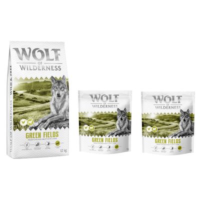 Wolf of Wilderness Logo. Hund springt über moosbedeckte Felsen in einem Wald.