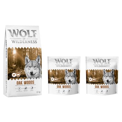 Wolf of Wilderness Logo. Hund springt über moosbedeckte Felsen in einem Wald.