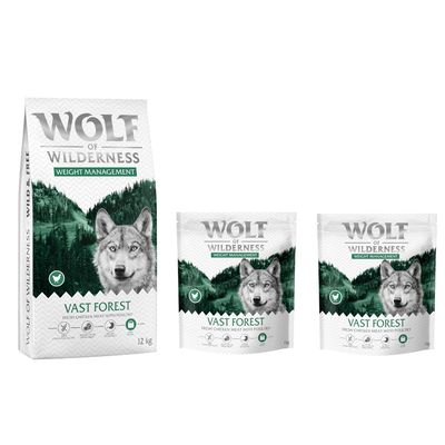Wolf of Wilderness Logo. Hund springt über moosbedeckte Felsen in einem Wald.