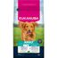 Eukanuba Premium Nutrition Adult Large & Giant Breed, jagnięcina i ryż 3 kg