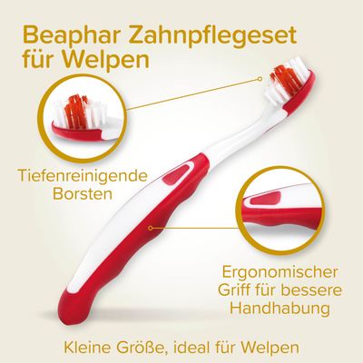 beaphar Zahnpflege Set für Welpen - Set: Zahnbürste + Fingerbürste + Welpen-Zahnpasta