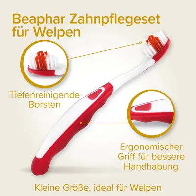 beaphar Zahnpflege Set für Welpen - Set: Zahnbürste + Fingerbürste + Welpen-Zahnpasta