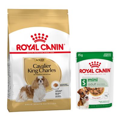 Royal Canin Breed Dry Dog Food + Royal Canin Wet Dog Food - 15% Off! * - Cavalier King Charles Adult (7.5kg) + Mini Adult in Gravy (12 x 85g)