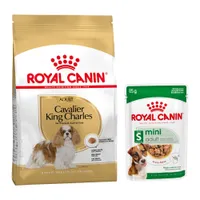 Royal Canin Breed Dry Dog Food + Royal Canin Wet Dog Food - 15% Off! * - Cavalier King Charles Adult (7.5kg) + Mini Adult in Gravy (12 x 85g)