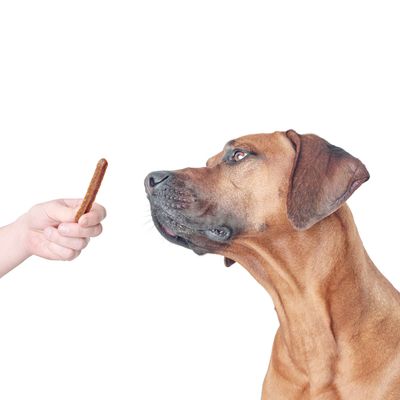 Snack HUNTER Real Sticks 80 g