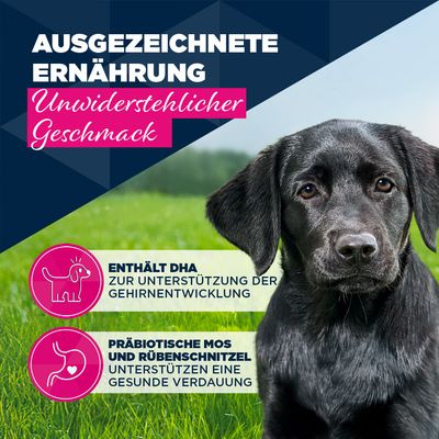 Eukanuba Puppy Reich an Forelle mit Süßkartoffeln