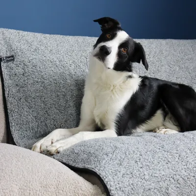 Vetbed® Sherpa Fleece Couverture pour animaux domestiques , grise