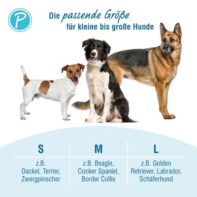 Petlando Mesh 3 m laisse de présentation, noir