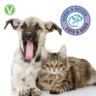 Vetlando tandverzorgingsspray