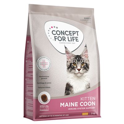 Concept for Life Maine Coon Kitten. Maßgeschneidert für Rassekatzen, Unterstützung der körpereigenen Abwehrkräfte, harmonisches Wachstum. Entwickelt mit Tierärzten und Ernährungsexperten.