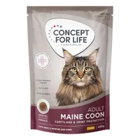 Concept for Life Maine Coon Adult kuivaruoka - UUSI: 400 g