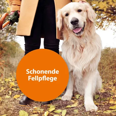 Ardap Grand Peigne anti-puces et poussière pour chien - 1 pièce